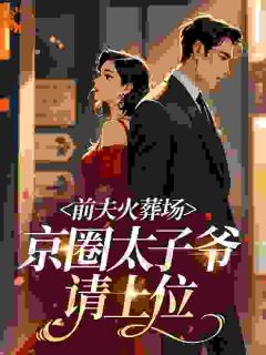 前夫火葬场，京圈太子爷请上位小说叶蓁薄宴辰免费阅读