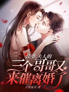 江爷，夫人的三个哥哥又来催离婚了(沈晚晚江之衍)最新章节试读