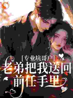林飞苏以沫全本章节在线阅读大结局