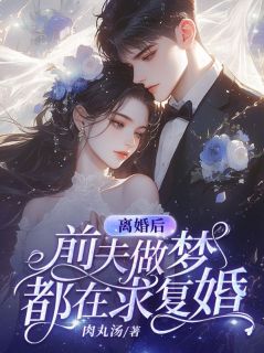 秦芷漓盛淮安小说离婚后，前夫做梦都在求复婚全文阅读