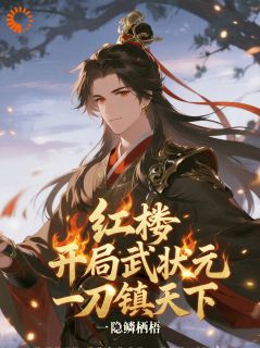 抖音小说穿成庶子，我直接文武双全！，主角贾环贾宝玉最后结局小说全文免费