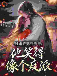 她求签遇到佛爷，他笑得像个反派​​(苏念肖南回)全文完整版阅读