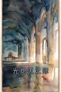 (好书推荐)光熄灭之际小说最新章节小说全文阅读