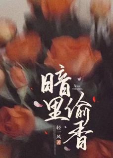 暗里偷香小说的书名是什么