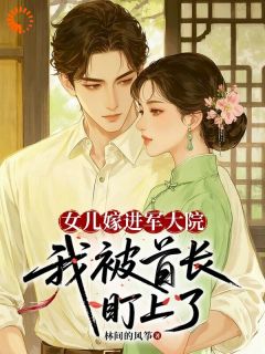 (热推新书)女儿嫁进军大院，我被首长盯上了林婉贞严旻无弹窗阅读