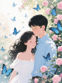 抖音小说【秦夜衡林新蕾苏月叶】全集免费版在线阅读-暗夜阅读网