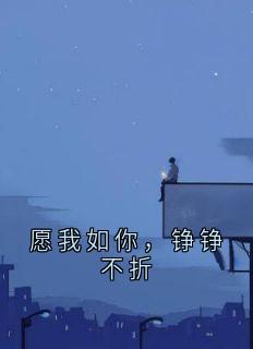 愿我如你，铮铮不折裴铮傅言川宋婉儿小说全文阅读