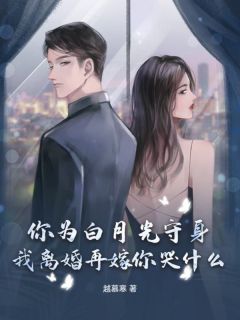 熬夜也要看完的你为白月光守身，我离婚再嫁你哭什么？小说推荐