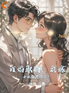 订婚取消，我嫁小叔你哭什么？小说(完结)-林栖棠薛忘言章节阅读