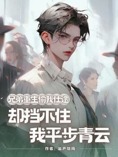 江辰李曼兄弟重生偷我仕途，却挡不住我平步青云全文(江辰李曼)章节免费阅读