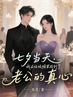快手傅安易叶新语沈临主角的小说全本章节大结局