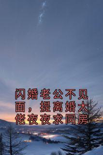 闪婚老公不见面，提离婚大佬夜夜求同房在哪免费看，阮诺诺宫宸燚小说章节目录阅读