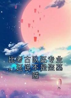 比考古队还专业，还说不是盗墓贼全本小说（比考古队还专业，还说不是盗墓贼）全文阅读