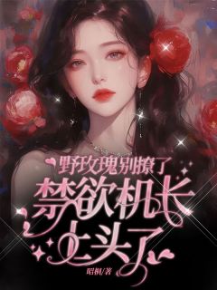 野玫瑰别撩了，禁欲机长上头了免费阅读全文，主角孟北枳傅望野小说完整版最新章节