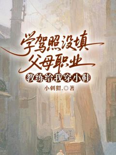 学驾照没填父母职业，教练给我穿小鞋小说免费版阅读抖音热文