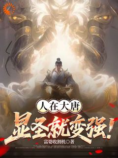 抖音爆款小说人在大唐，显圣就变强！李恪李世民免费txt全文阅读