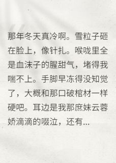 重生后,我成了病娇王爷的掌心娇傅砚知宋青云陆七全章节完结版在线阅读-暗夜阅读网