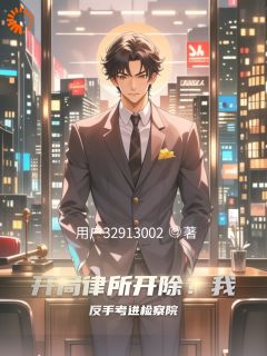 江城苏晴(原文完整)开局律所开除？我反手考进检察院无弹窗免费阅读