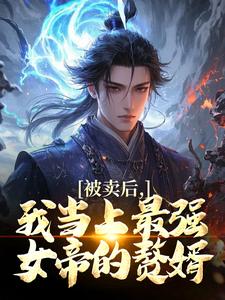 爆款热文叶天慕容萱在线阅读-被卖后，我当上最强女帝的赘婿全章节列表