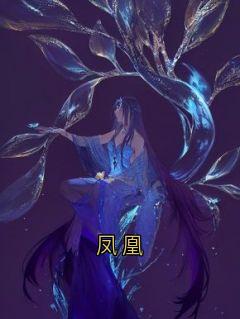 快手许应淮沈清盈主角的小说全本章节大结局