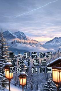 皇上把我的后位给丫鬟后，我抢了他的国（李心蓉齐桓）精彩小说目录阅读