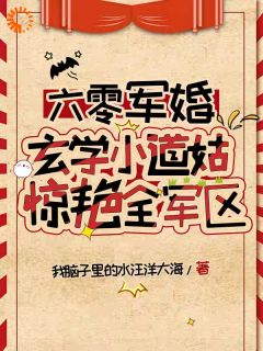 六零军婚，玄学小道姑惊艳全军区全集小说_沈清梧陆沉完结版阅读