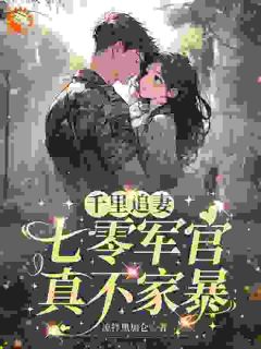 爆款小说千里追妻，七零军官真不家暴在线阅读-时影霍斯堇免费阅读