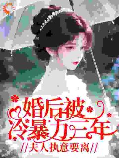 婚后被冷暴力三年，夫人执意要离温芙馥裴知珩-小说txt全文阅读