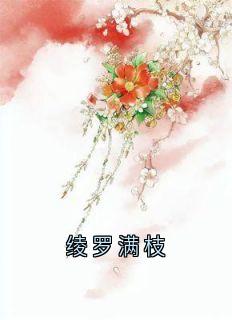 绫罗满枝在线全文阅读-主人公贺南枝沈乘意小说
