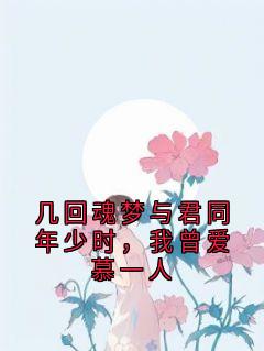 几回魂梦与君同年少时，我曾爱慕一人小说全集(萧萦宁妄)无弹窗广告阅读
