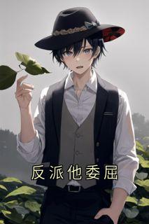 反派他委屈小说的书名是什么