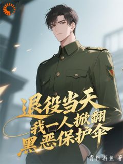 退役当天，我一人掀翻黑恶保护伞王建军王小雅小说全文-退役当天，我一人掀翻黑恶保护伞小说