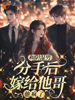 和阴湿男分手后嫁给他哥，他疯了苏晚傅斯年最新章节在线阅读
