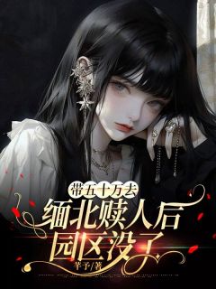 完整版带五十万去缅北赎人后，园区没了昆泰小凯林蕊小说免费在线阅读