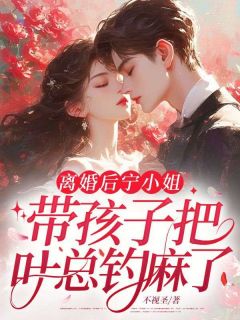 离婚后，宁小姐带孩子把叶总钓麻了(宁澜叶衍)最新章节