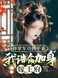好看的你拿军功换平妻，我诰命加身嫁王府小说-你拿军功换平妻，我诰命加身嫁王府最新章节阅读