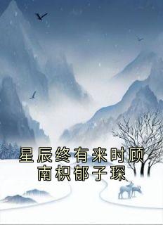 新书推荐星辰终有来时顾南枳郁子琛完整版小说-顾南枳郁知年最新章节阅读