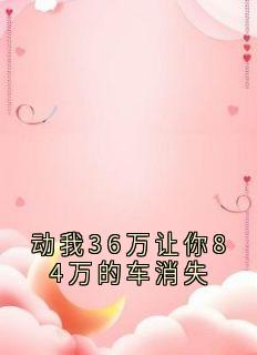 陈浩陈珊小说动我36万让你84万的车消失免费阅读