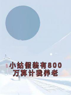 主角孙薇薇孙芳菲小说完整版最新章节-小姑假装有800万算计我养老免费阅读全文