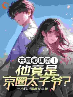 抖音小说一场绑架，揭开了我的顶级豪门身世江奕沈清晚全文txt