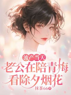 流产当天，老公在陪青梅看除夕烟花未删减阅读