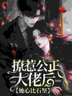 抖音热推小说撩惹公正大佬后，她心比石坚全文在线阅读