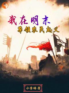我在明末带领农民起义章节全目录 嬴庆嬴欢全文免费阅读