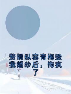 爆款小说赘婿纵容青梅毁我婚纱后，悔疯了-主角苏黎谢璟深在线阅读