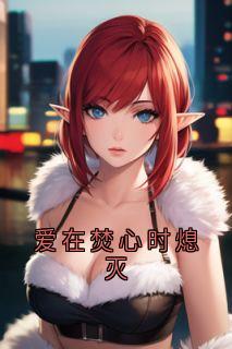 爱在焚心时熄灭小说(完结)-黎梨傅时屿无删减阅读