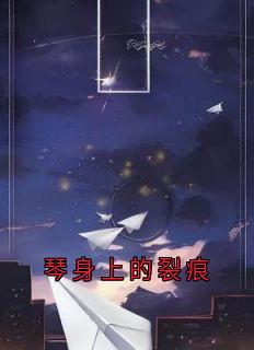 琴身上的裂痕陆向榆徐宁兰小说完整在线阅读