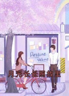 楚月沈泽川全集小说_月光长长照故里完结版阅读