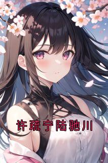 全章节小说许疏宁陆驰川神秘人最新阅读