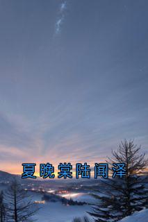 精品小说夏晚棠陆闻泽全文目录畅读