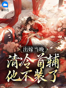 快手热推出嫁当晚，清冷首辅他不装了小说主角岑晚音沈景玄在线阅读